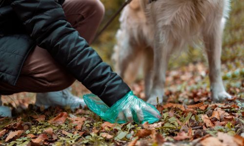 Lien vers Adoptez 5 gestes civiques 