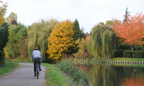 Lien vers la page parcs et jardins