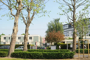 Le centre social un batimane bas blanc et vert avec premier plan une haie et des arbres, en fond à droite on aperçoit un bâtiment résidentiel de 9 étages
